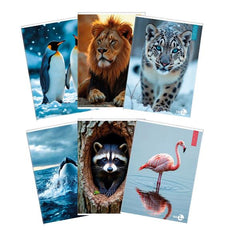 QUADERNI ANIMAL A4 80GR C - CONF10