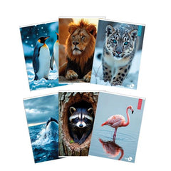 QUADERNI ANIMAL A4 80GR 10MM - CONF10