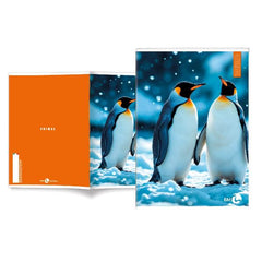 QUADERNI ANIMAL A4 80GR 10MM - CONF10