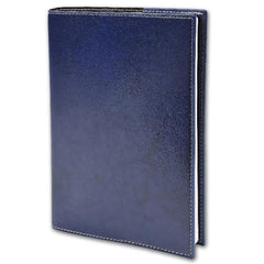 AGENDA PRESIDENTE MADERA BLU