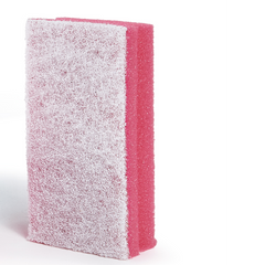 Confezione 10 SPUGNE "PRO Color" FIBRA ANTIGRAFFIO - rosso
