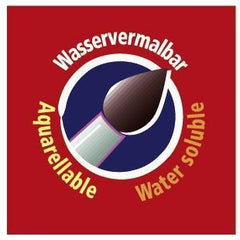 PASTELLI WOODY 3 IN 1 - Astuccio 10 pezzi + temperino