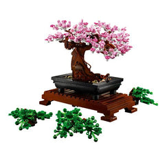 Albero Bonsai