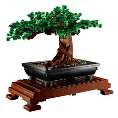 Albero Bonsai