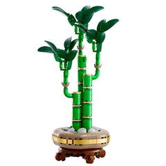 BAMBU' DEL BUON AUSPICIO