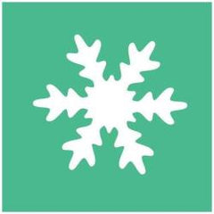 FIOCCO DI NEVE