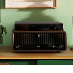 GIRADISCHI THE TINA 120/240W FM/DAB+ BLUETOOTH