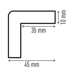 PROFILO PARACOLPI ANGOLARE C35 MAGNETICO