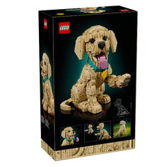 CUCCIOLO DI GOLDEN RETRIEVER
