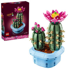 Cactus in fiore