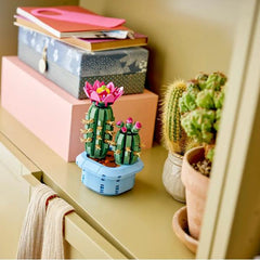 Cactus in fiore