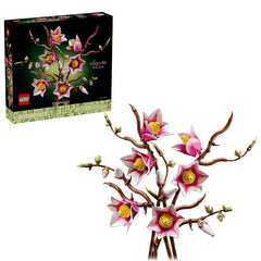 RAMETTI DI MAGNOLIA