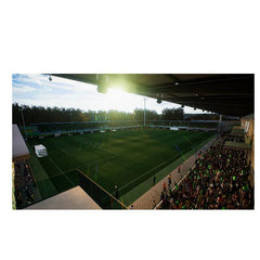 EA SPORTS FC24