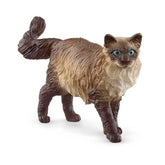 RAGDOLL CAT