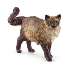 RAGDOLL CAT