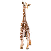 CUCCIOLO DI GIRAFFA