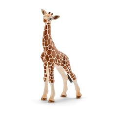 CUCCIOLO DI GIRAFFA