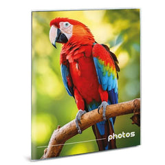 ALBUM FOTO FLESSIBILE