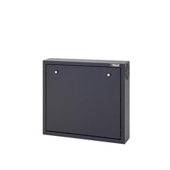 ITRACK - Security DVR/NVR da parete A544xL600xP119 porta anteriore con doppia serratura con due chiavi diverse colore nero