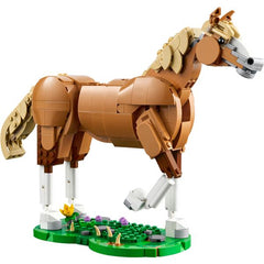 Cavallo meraviglioso