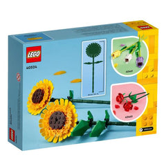 Girasoli