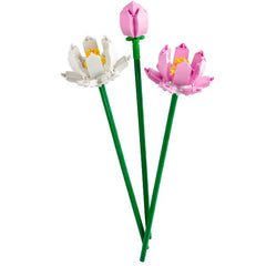 Fiori di loto