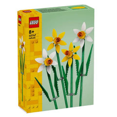 Narcisi