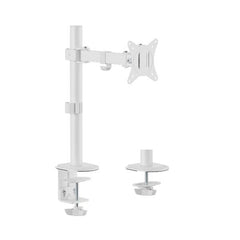 EQUIP - STAFFA ARTICOLATA x MONITOR 17"-32" DA SCRIVANIA, Bianca