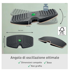 Leitz Ergo Active Balance Board