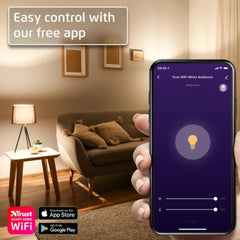 E14 LED CCT WI-FI