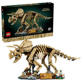 Fossili di dinosauro: Triceratopo