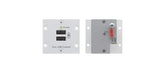 W-2UC - DUAL USB 2A CHARGING WALL PLATE