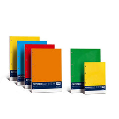 DIVIDERELLO RUBRICABILE - MIX COLORI FORTI (10 COLORI) - 22x29,7 cm - 220 g/m2 - 10 fogli