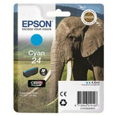ELEFANTE 24