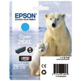 ORSO POLARE XL