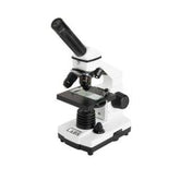 Labs CM800