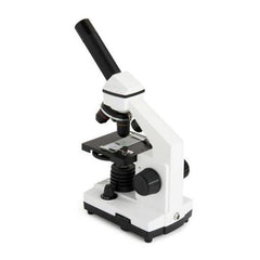 Labs CM800