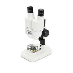 Labs S20