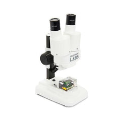 Labs S20