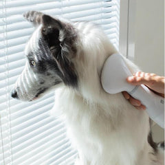 2 in 1 Hair Grooming + Dryer