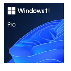 WIN11 PRO N UPGRADE EDU
