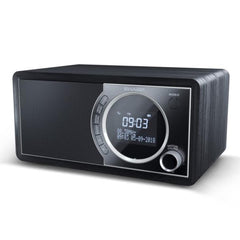 Radio digitale DR-450