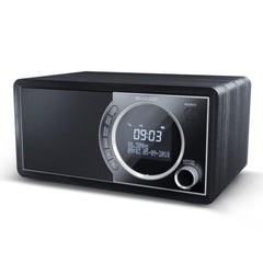 Radio digitale DR-450