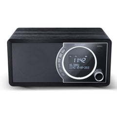 Radio digitale DR-450