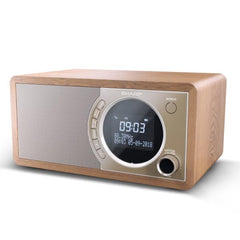 Radio digitale DR-450