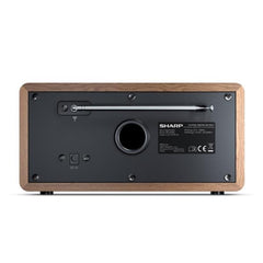 Radio digitale DR-450
