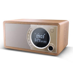 Radio digitale DR-450