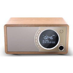 Radio digitale DR-450