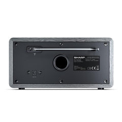 Radio digitale DR-450