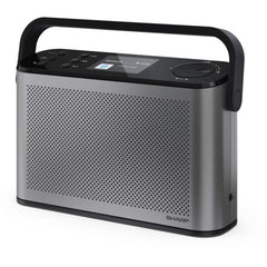 Radio Digitale Osaka DR-P540